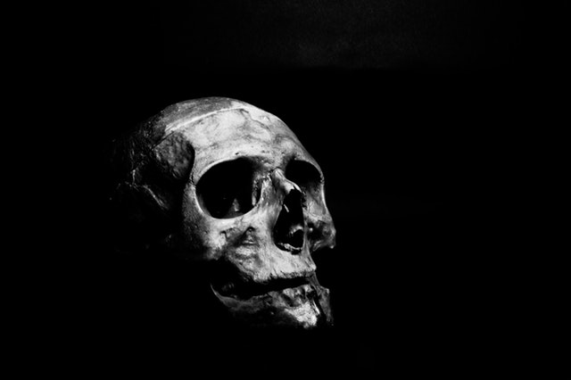 0_1583856255471_grayscale-photography-of-human-skull-1270184.jpg