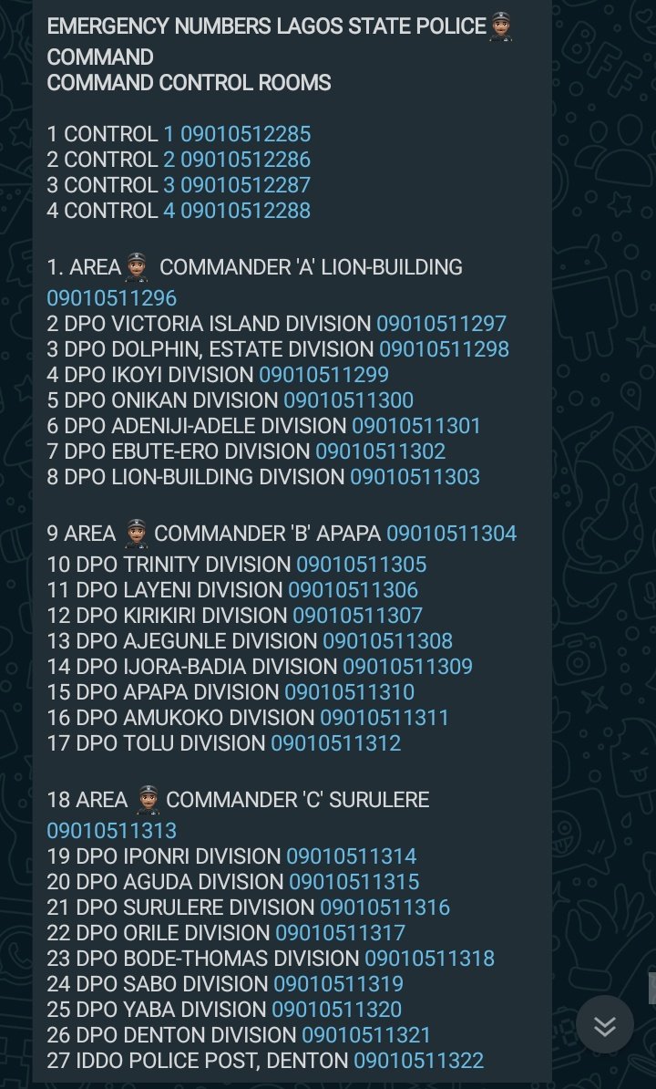 3_1586702826538_police-dpos-lagos.png